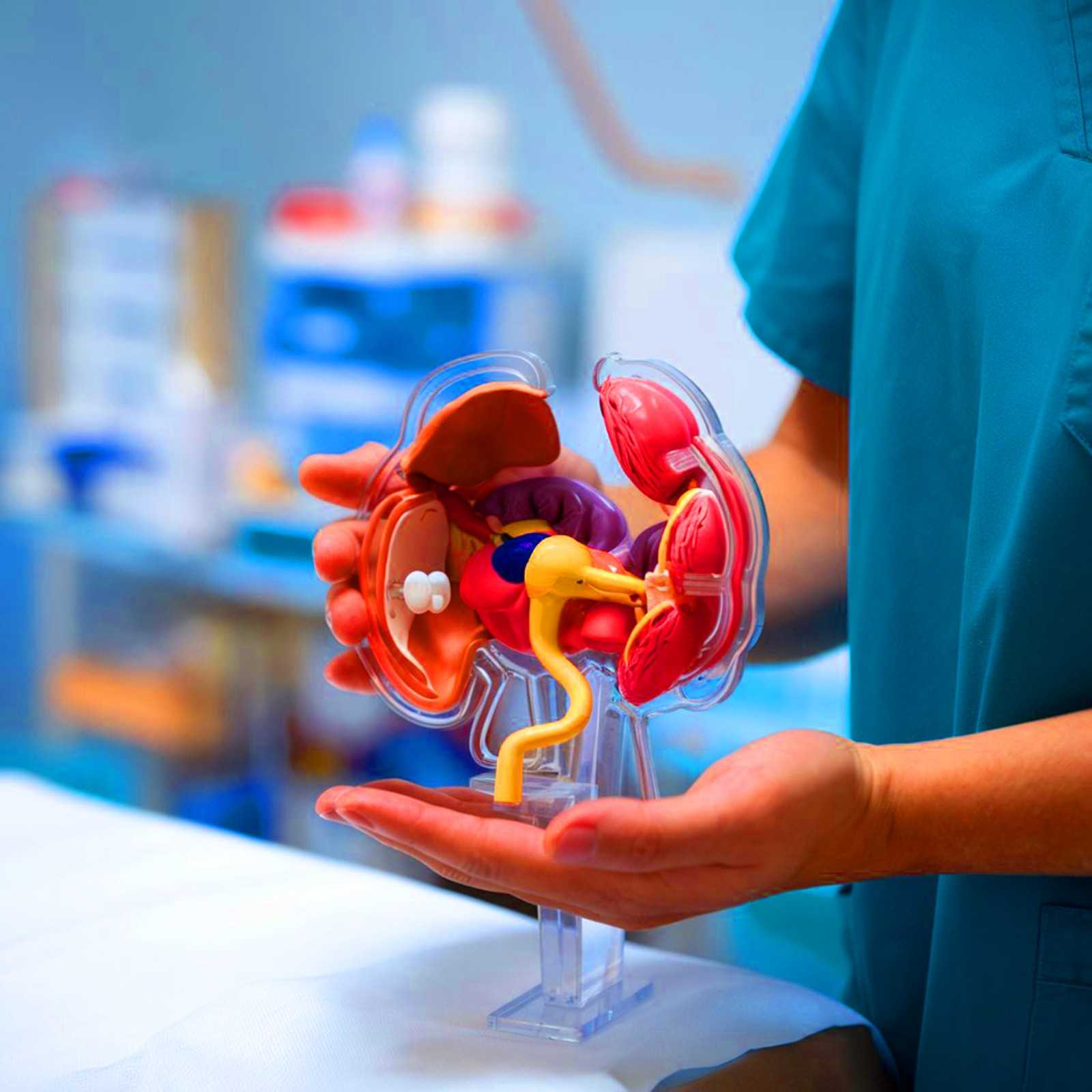 Urology (Urinary System Treatment)